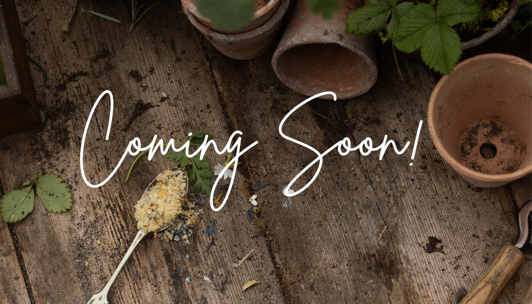 AROMATHERAPY WELLBEING WORKSHOP