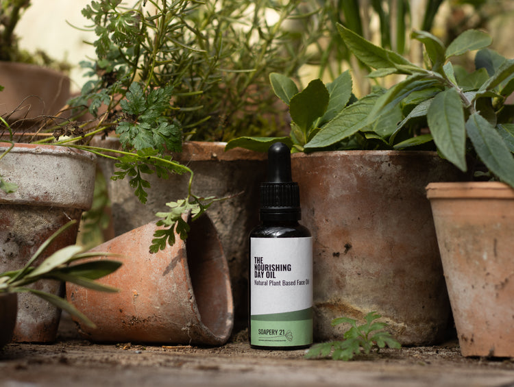 A dropper bottle of nourishing day oil sits in a greenhouse setting surrounded by natural botanical plants and herbs