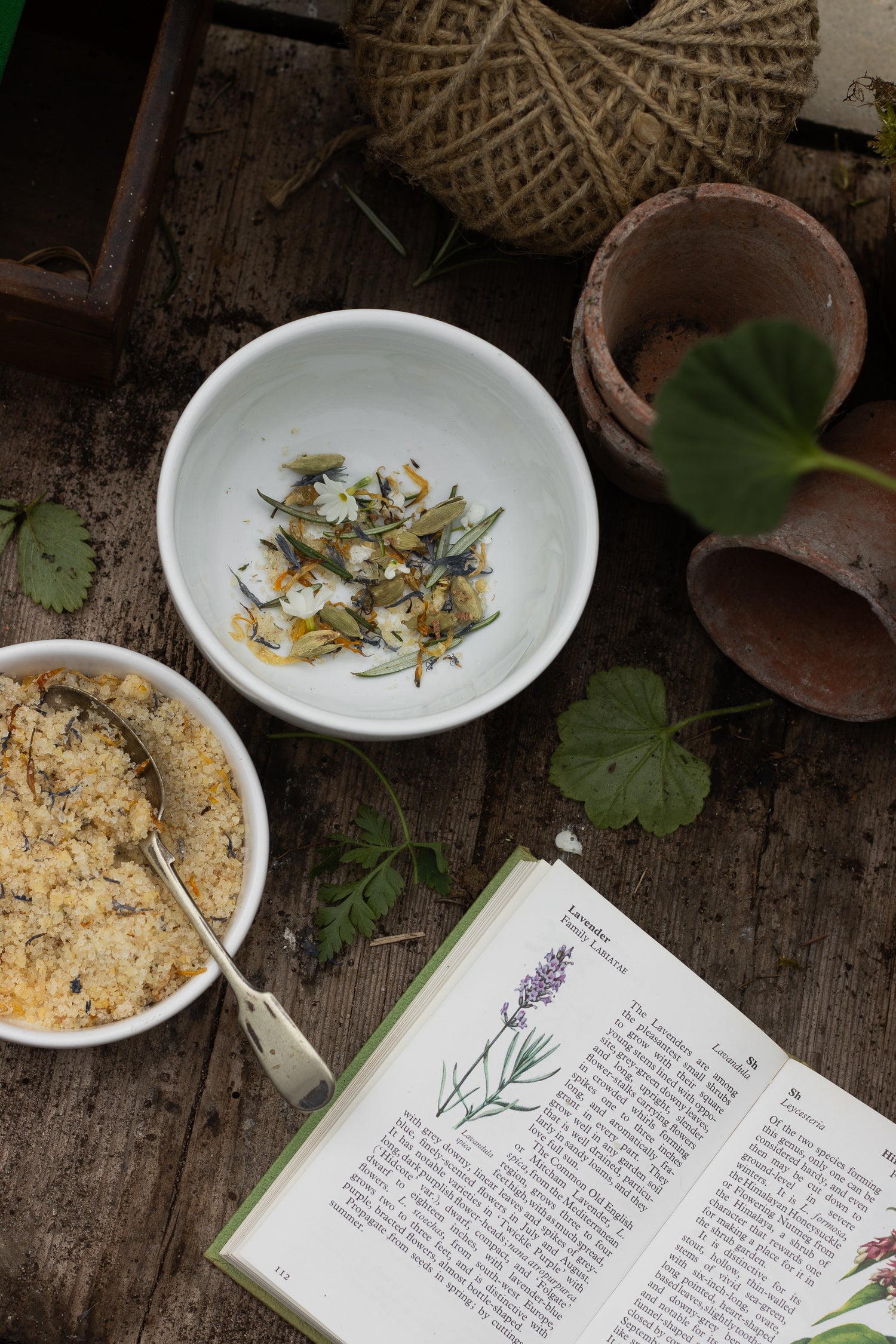 a table with bowls of natural botanical ingredients and a natural herbal, aromatherapy notebook. surrounded by plants, plant pots