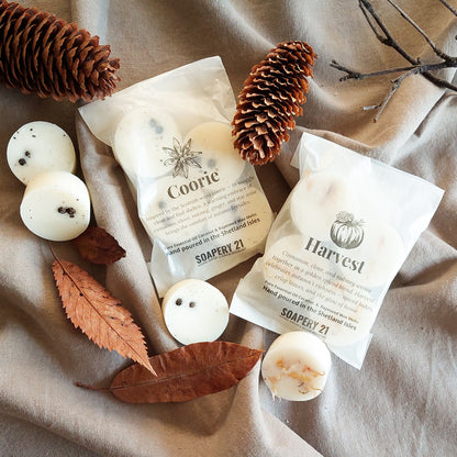 HARVEST Wax Melts | Pumpkin Spice Autumn Scent