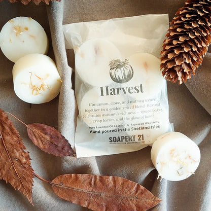 HARVEST Wax Melts | Pumpkin Spice Autumn Scent