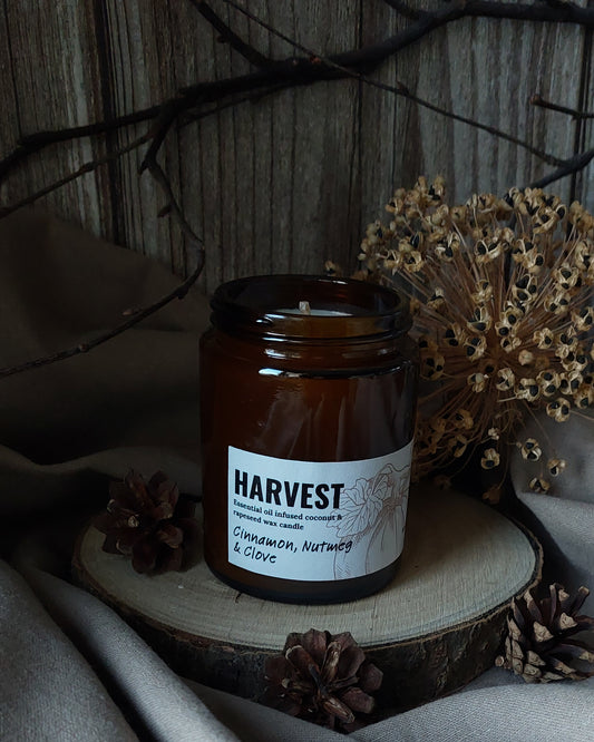 HARVEST candle| Pumpkin Spiced Autumn Scent